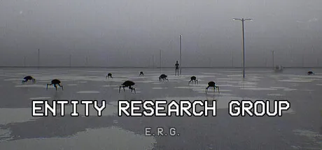 Trainer de Entity Research Group — imagem de capa