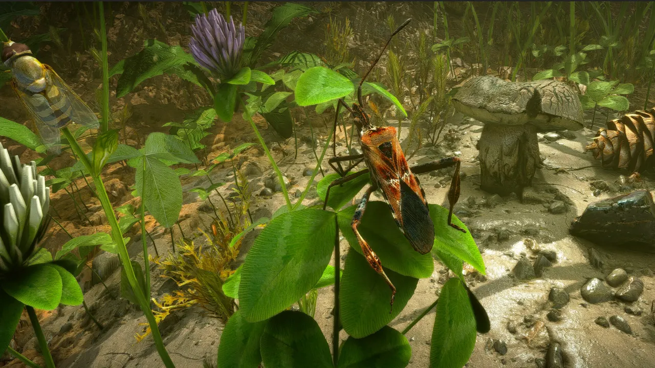 Insect Worlds — exploração