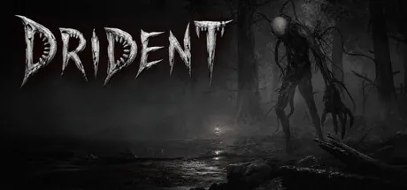 Trainer de Drident — imagem de capa