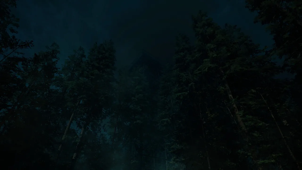 Forest Lookout — exploração