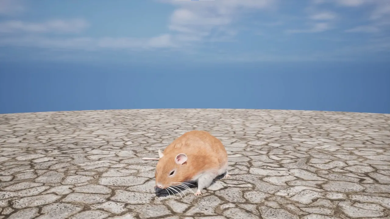 Labyrinth of Whiskers — combate no jogo